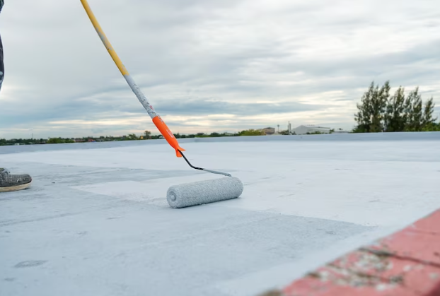 Roof Painting